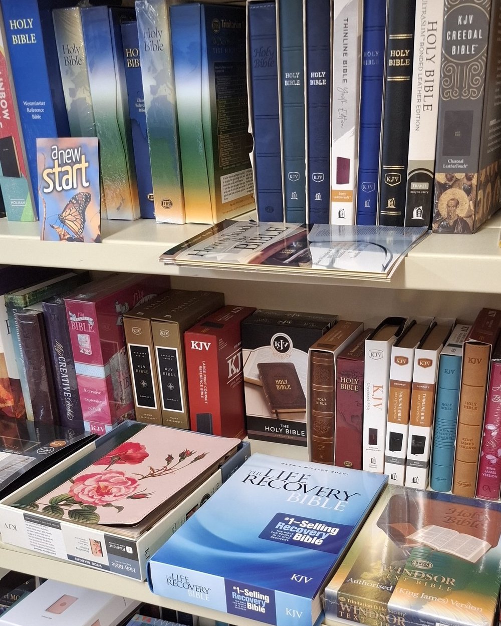 Bibles